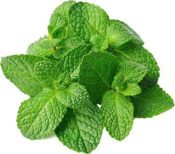 Download Mint Leaves Png Image