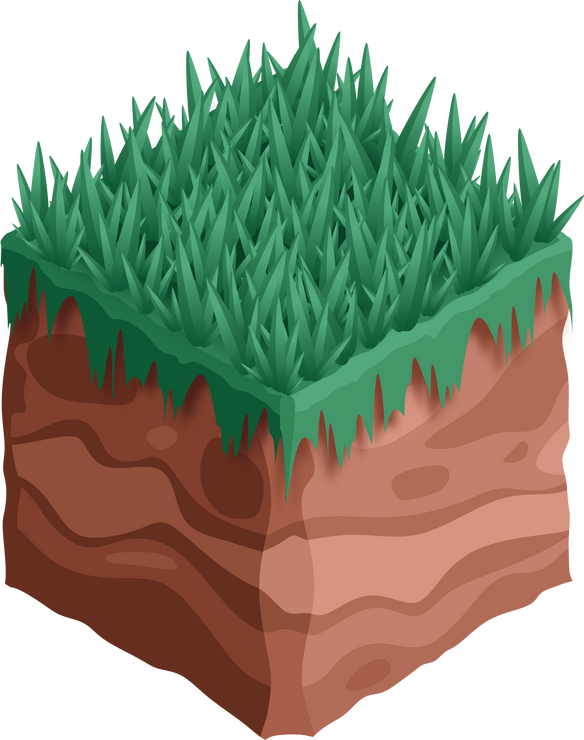 Grass on Soil Illustration